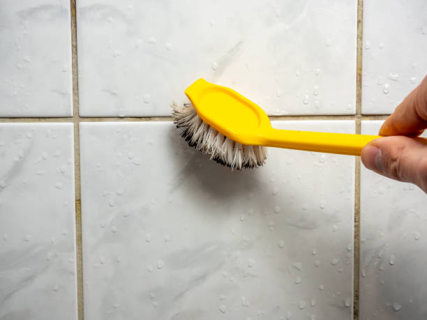 Best Mold Remediation  in Gra Forks, ND
