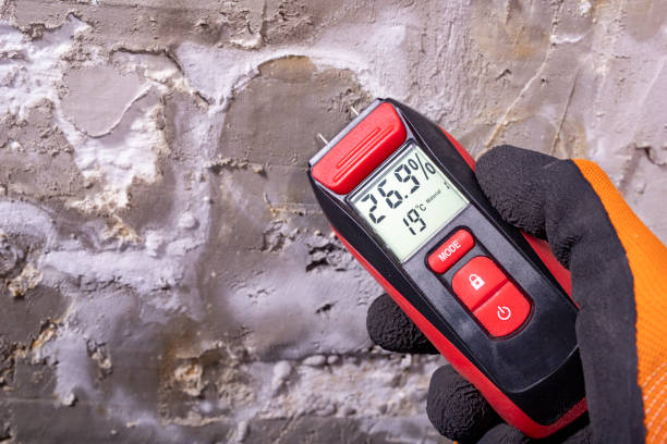 Best Crawl Space Mold Removal  in Gra Forks, ND