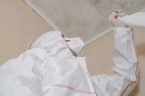 Crawl Space Mold Removal in Grand Forks, ND